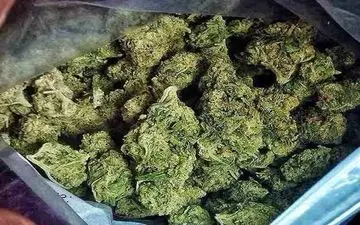 بیش از 5 کیلوگرم ماده مخدر در کرمانشاه کشف شد 

