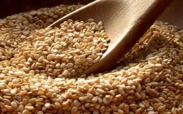  تقویت سلامت بدن با مصرف این دانه خوراکی