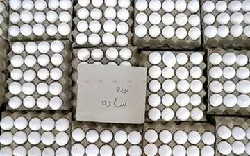 کف قیمت هر شانه تخم مرغ ۳۷۰ هزار تومان شد