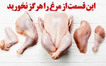 خطرناک‌ترین قسمت‌های مرغ | مصرف این قسمت‌های مرغ می‌تواند خطرناک باشد