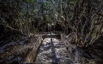  عکس منتخب نشنال جئوگرافیک | تلفیق تمدن ها