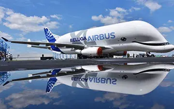 اولین پرواز نهنگ سفید+فیلم