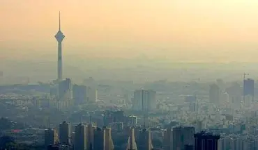 خوراکی‌های ضد آلودگی هوا | راهی ساده برای حفظ سلامت بدن