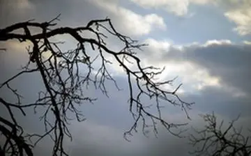 نیمه شمالی کشور موقتا گرم می‌شود 