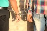 شناسایی و بازداشت شبکه فعال در زمینه ریزپرنده‌ها در چهارمحال و بختیاری
