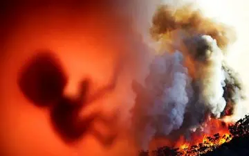 گرمایش زمین مرده‌زایی را افزایش می‌دهد