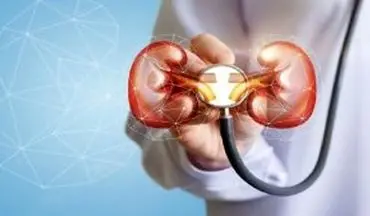 تفاوت عفونت مثانه و عفونت مجاری ادراری؛ علائم، علل و نکات مهم درمان