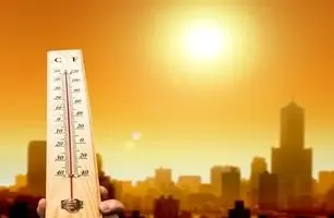 معاون اجرایی رئیس‌جمهور: موضوع اعلام تعطیلی به دلیل گرمای شدید در حال بررسی است! + ویدئو
