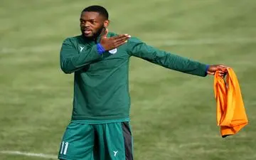 از راز قرارداد یامگا پرده برداری شد