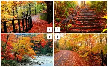 بگو منظره پاییزی مورد علاقه‌ات کدام است تا بهت بگم چه شخصیتی داری!