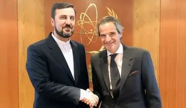 دیدار نماینده دائم ایران در آژانس بین المللی انرژی اتمی با مدیرکل جدید