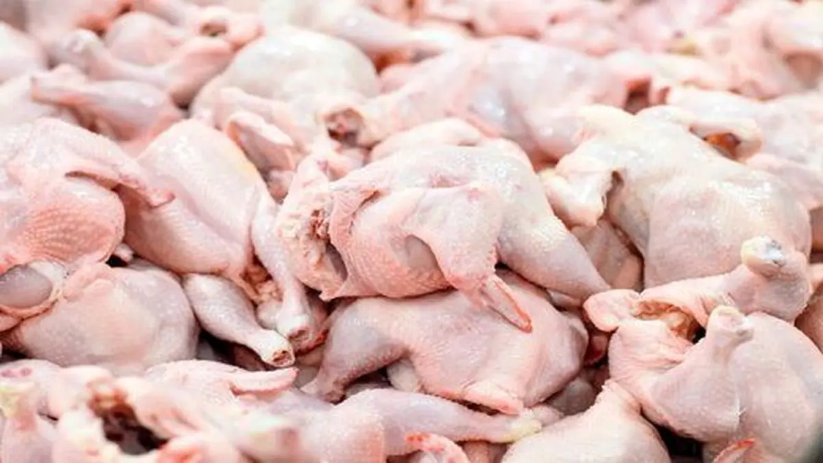  دلایل افزایش قیمت مرغ در بازار