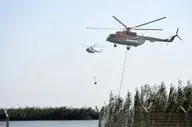 تکنسین‌های نفتی گرفتار در تالاب شادگان از خطر مرگ نجات یافتند