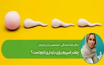  برای بارداری چقدر اسپرم لازم است؟


