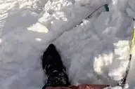 لحظه وحشتناک گرفتار شدن اسکی‌باز در بهمن | فیلم لحظه حادثه