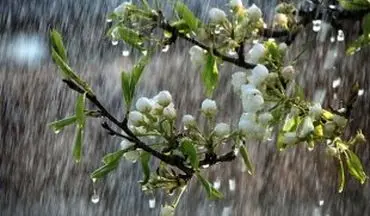وزش باد و بارندگی در بیشتر مناطق کشور