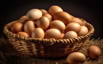 طرز نگهداری صحیح  تخم مرغ | حتما بخوانید