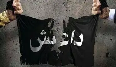 کشف تونل‌های مخفی داعش در نزدیکی شهر نجف + فیلم
