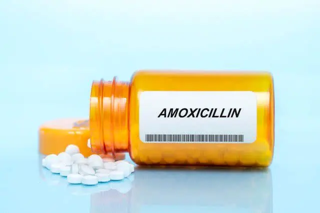 دوز کپسول آموکسی سیلین برای سرماخوردگی و گلودرد کودکان