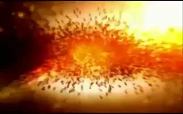 وحشت مأمور پلیس آمریکا از یک موش + فیلم