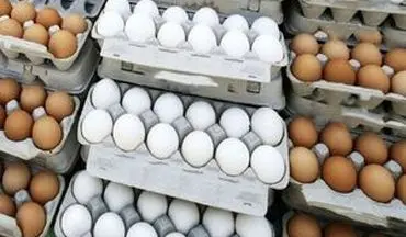 کاهش قیمت تخم مرغ در میادین تره‌بار