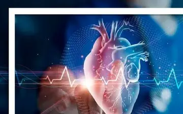 عفونت‌های درمان‌نشده در کودکی، تهدیدی برای دریچه‌های قلب در میانسالی