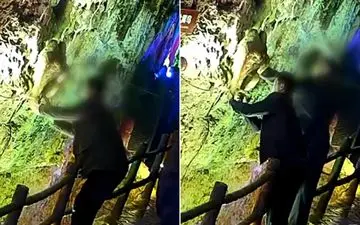 کندن چکیده سنگ چند میلیون ساله توسط گردشگران برای یادگاری!