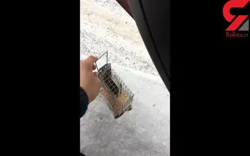  مرگ تلخ زندانی لحظه ای بعد از آزاد سازی!+فیلم 