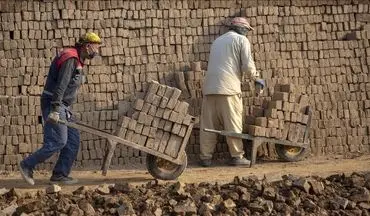  کارگران افغانی دوباره برگشتند/ قانون سکوت می‌کند؟ 