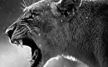 ویدیو/ نجات معجزه آسای مرد ازحمله وحشتناک شیر خشمگین در خانه!