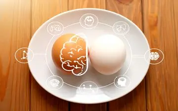 این خوراکی ساده می‌تواند جلوی زوال عقل را بگیرد!