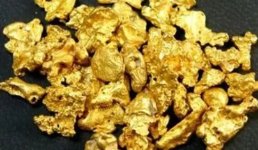 صعود قیمت طلا به سقف ۶ هفته اخیر