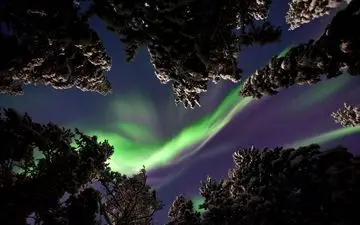  عکس منتخب نشنال جئوگرافیک | شفق شمالی در جنگل های سوئد