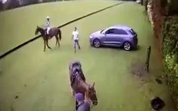 بیهوشی یک مرد از جفتک ناگهانی اسب 