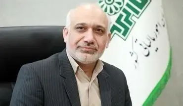 سهم کمتر از هفت درصدی اصناف در درآمدهای مالیاتی بیانگر حمایت از مشاغل خُرد است