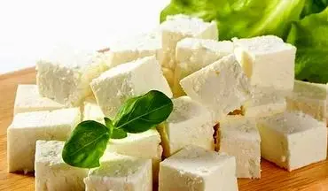 شوک بزرگ به دوست‌داران پنیر/ این غذای محبوب، بدنتان را فرسوده می‌کند!