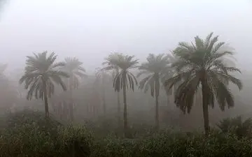 لغو پروازهای فرودگاه اهواز به دلیل مه غلیط؛ مسافران در بلاتکلیفی ماندند