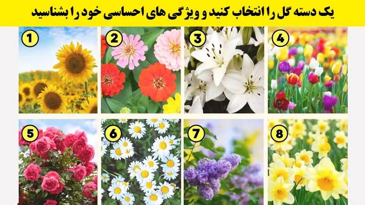 میخوای بدونی چه طور ازدواج میکنی ؟ یکی از گل ها رو انتخاب کن تا بهت بگم