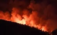 بمباران آب برای خاموش کردن آتش در اراضی ایتالیا + فیلم