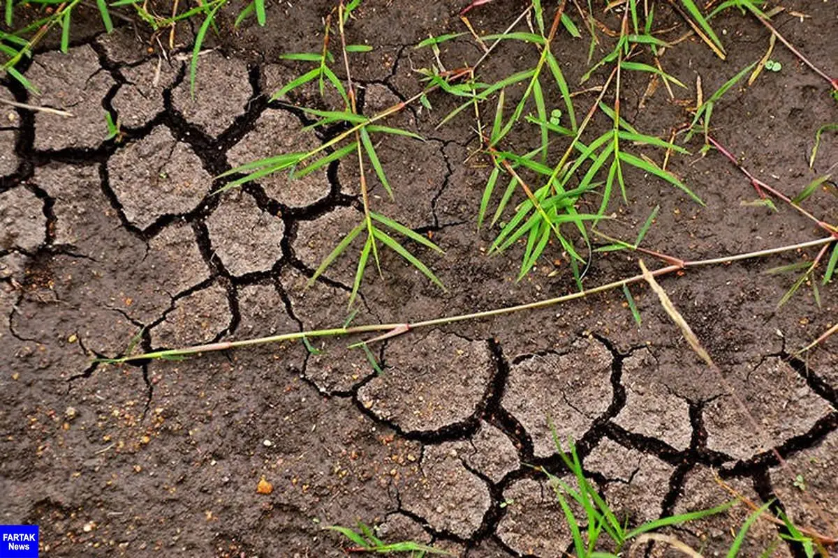 پیش‌بینی افزایش ۱۰ تا ۱۵ درصدی اجرای طرح‌های آب و خاک در سال ۹۹
