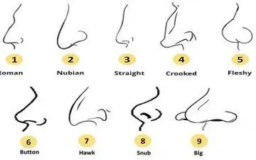 شکل بینی ویژگی های شخصیتی را برملا می کند/ بگو بینی ات چه شکلی است تا بهت بگم!