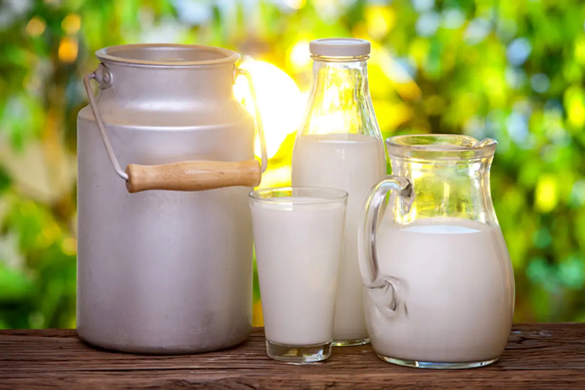 شیر کامل یا شیر کم چرب؟