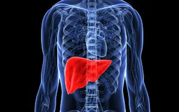 چرا جوانان به کبد چرب مبتلا می‌شوند؟