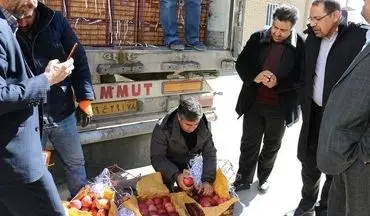 اولین محموله سیب تنظیم بازار شب عید وارد سردخانه‌های استان شد