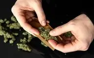 باورهای غلط درباره گل را کنار بگذارید/ علائم رفتاری و فیزیکی اعتیاد به پرمصرف ترین ماده مخدر در جهان