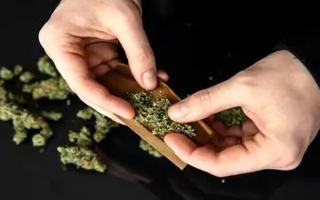 باورهای غلط درباره گل را کنار بگذارید/ علائم رفتاری و فیزیکی اعتیاد به پرمصرف ترین ماده مخدر در جهان