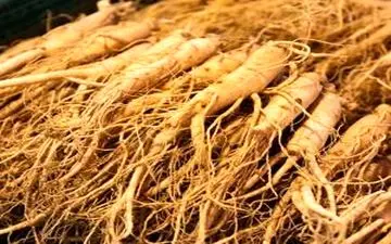 آشنایی با خواص فوق العاده جینسینگ 