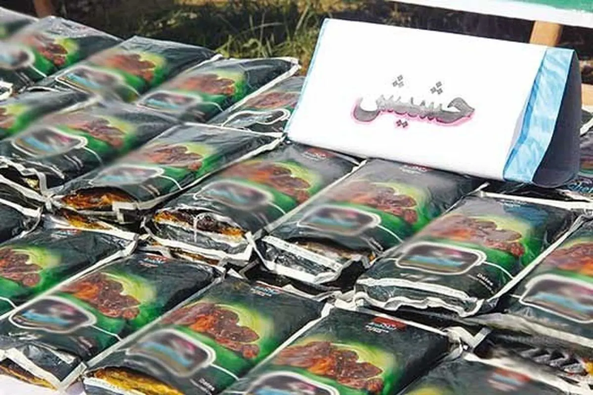 قاچاقچی حرفهای با ۵۸۵ کیلوگرم حشیش در کنارک دستگیر شد