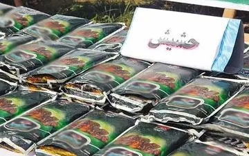 قاچاقچی حرفه‌ای با ۵۸۵ کیلوگرم حشیش در کنارک دستگیر شد