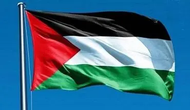 اقدام جالب دانشجویان ایرلندی در حمایت از مردم فلسطین